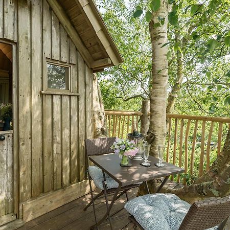 The Treehouse At Salcombe Farm 빌라 외부 사진