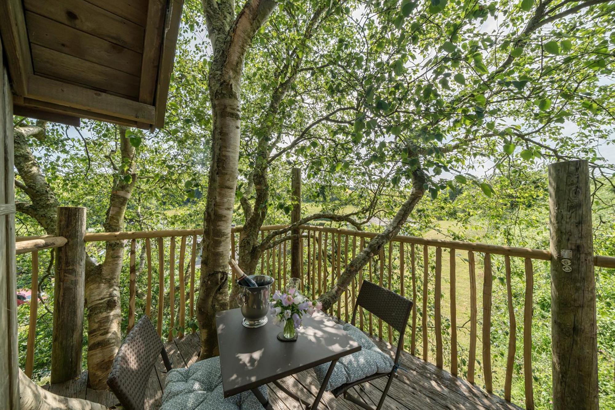 The Treehouse At Salcombe Farm 빌라 외부 사진