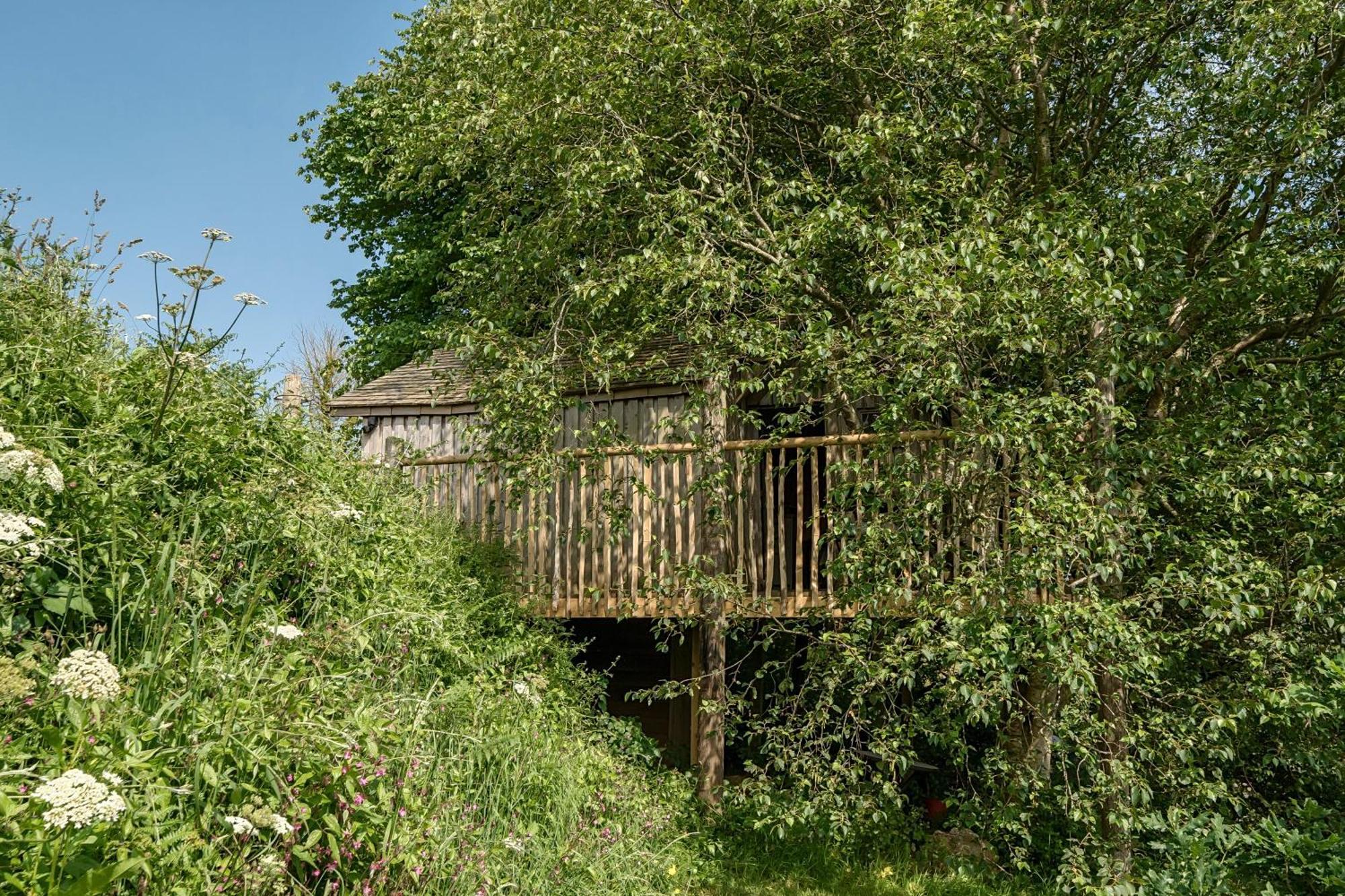 The Treehouse At Salcombe Farm 빌라 외부 사진