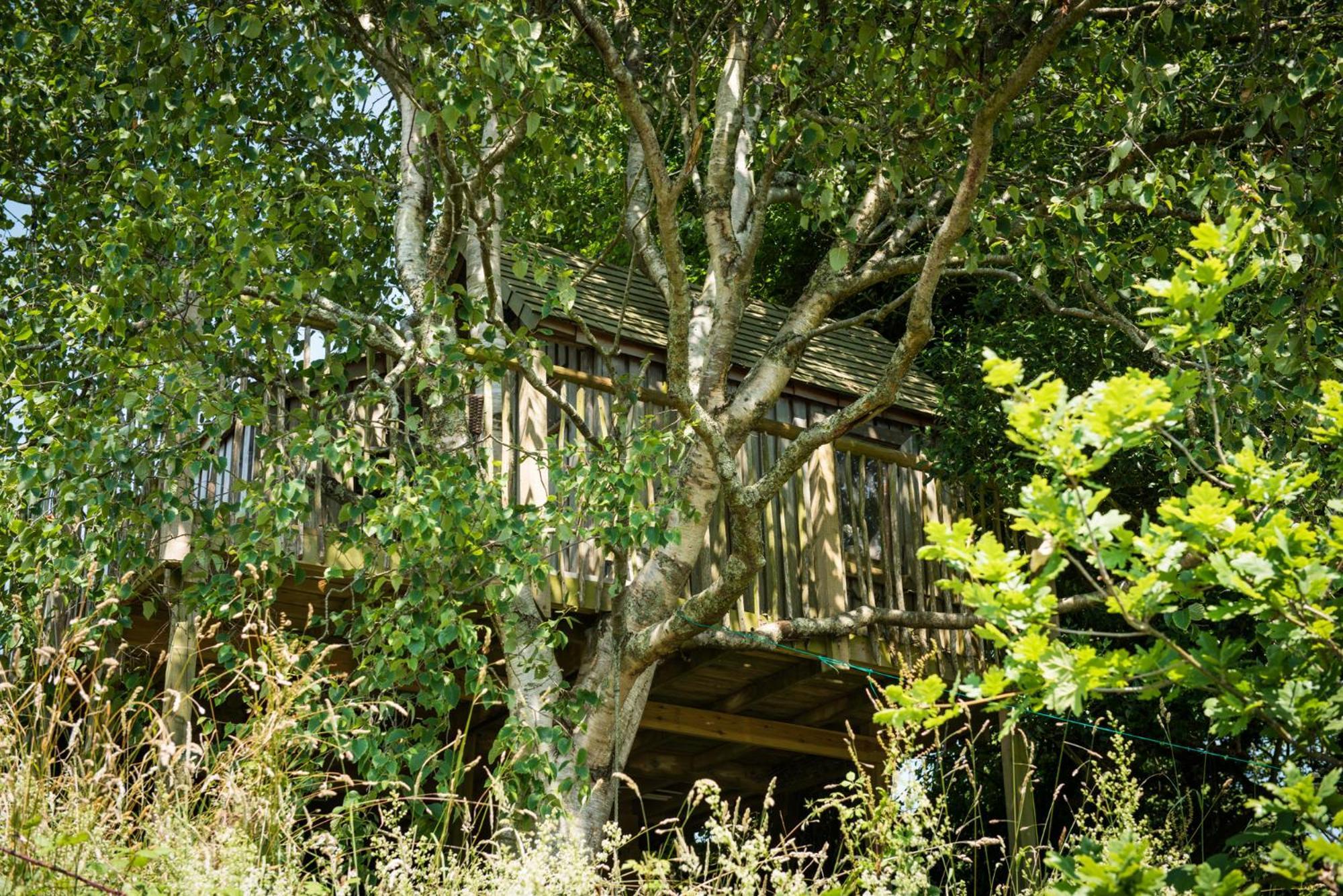 The Treehouse At Salcombe Farm 빌라 외부 사진